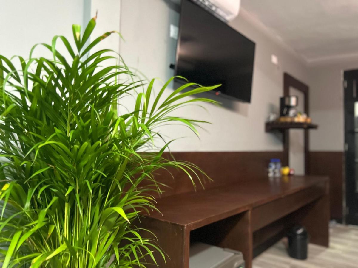Huasteca Em Suites Ciudad Valles Bagian luar foto